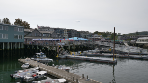 Bar Harbor